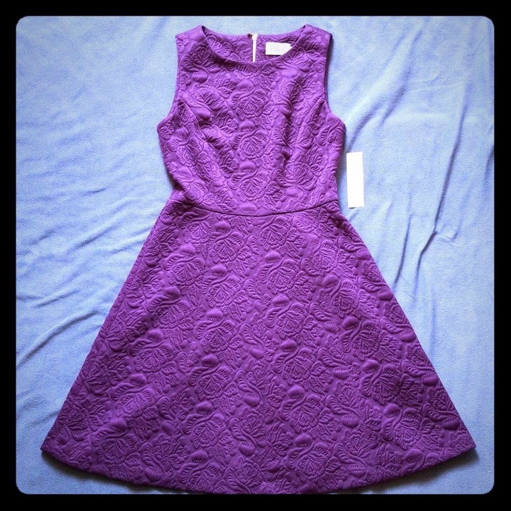 NWT Eliza J dress 👗